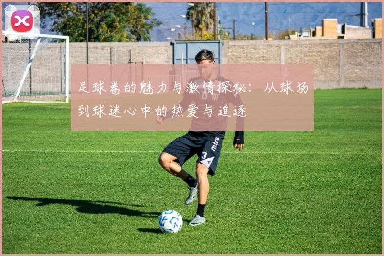 足球卷的魅力与激情探秘：从球场到球迷心中的热爱与追逐