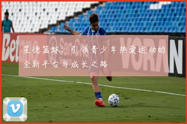 星德篮球：引领青少年热爱运动的全新平台与成长之路