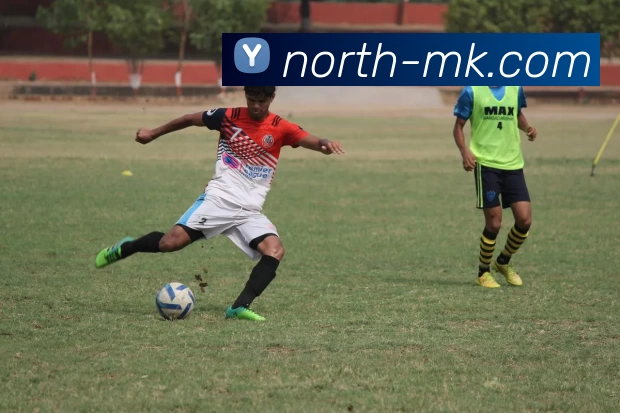 多媒体互动体验